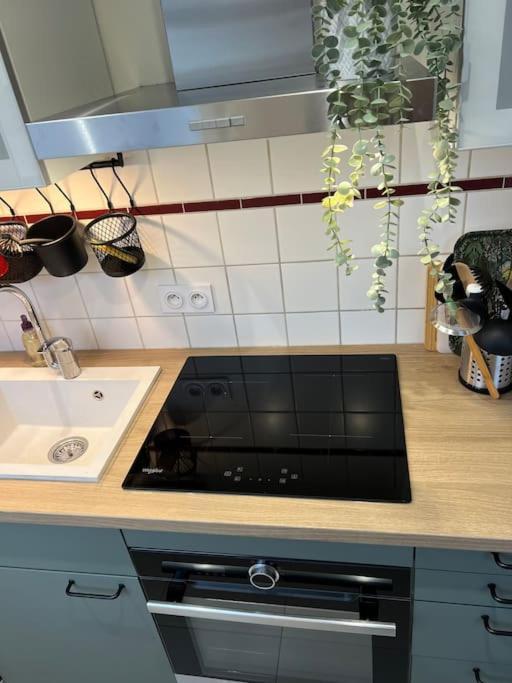 Adorable Appartement Strasbourg Neudorf Parking Sous Sol Exteriér fotografie